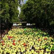 La nueva versión del Nike 10K We Run Santiago 2011 convocará la más alta participación de jóvenes en su historia